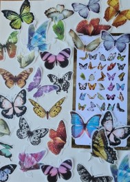 Vintage stickers butterflies